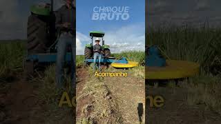 Roçadeira articulada Choque Bruto