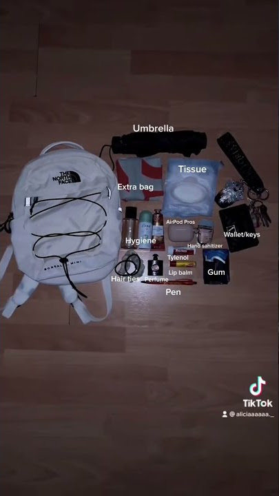What I keep in my mini backpack 🤍 #northface  #borealismini #whatsinmybag #newbags