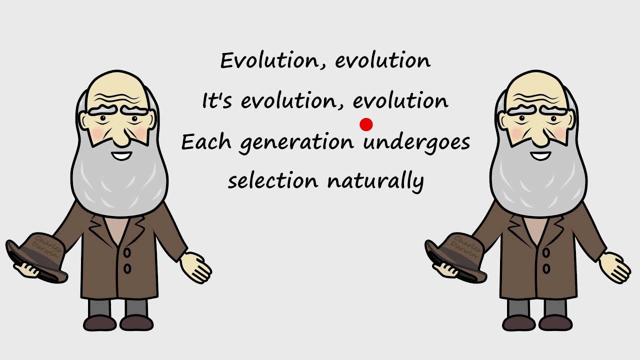 Evolution by Peter Weatherall