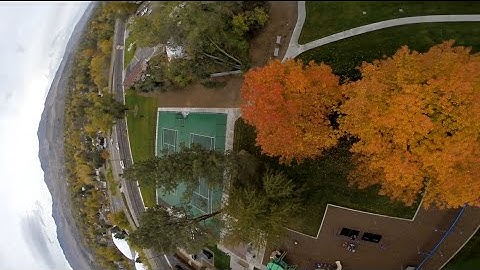 Zuul Racehound T-Motor Test Flight // Betaflight / Hovership Littlebees