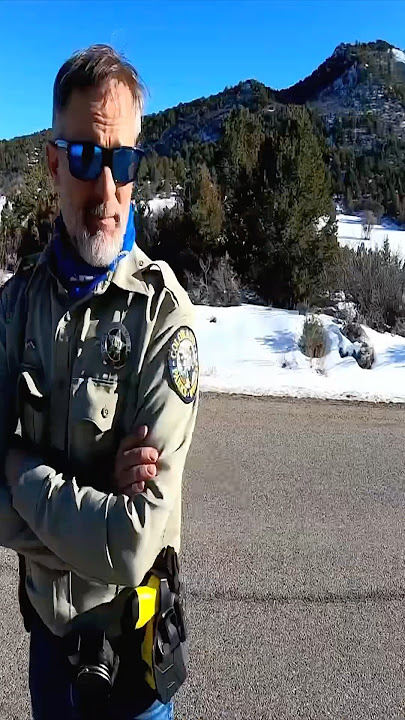 Cool park ranger catches bikers doing wheelies 🫠 @MintyMotos