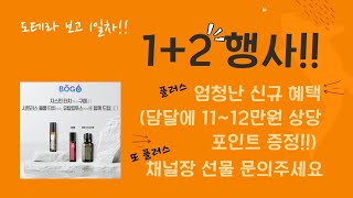 ⏰️오늘밤 12시까지만!!! | 도테라 💕 보고 1일차 | 1+2 행사