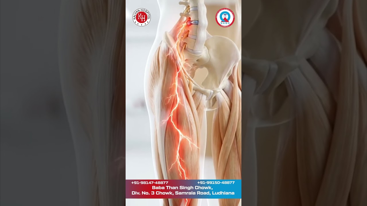 Slipped Disc Myth Explained | It's NOT Your Bone!