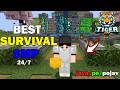🔴MINECRAFT LIVE | Tiger Smp Event | Cracked Java/PE &amp; Bedrock | lets Play ✨