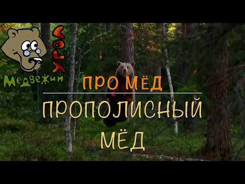 Про МЁД: прополисный мёд (как готовить и как лечиться)