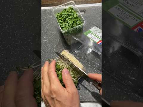 Satisfying Salad Cress