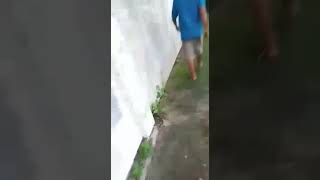 Anak Sma Ketahuan Mesum Di Kebun Berita Karawang