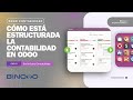 ODOO Contabilidad | Tutorial 01 📌 Cómo está estructurada la contabilidad en Odoo