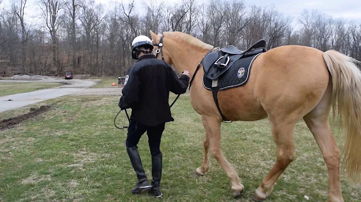 Louisville Mounted Patrol- A Day in the Life