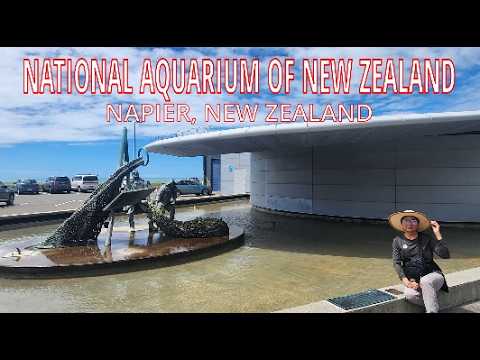 National Aquarium of New Zealand | Napier, New Zealand | 11-Day Cruise from Sydney to New Zealand