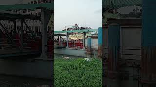 দক্ষিনের বস