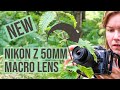 Macro Photography with the NEW NIKON Z 50mm MACRO LENS