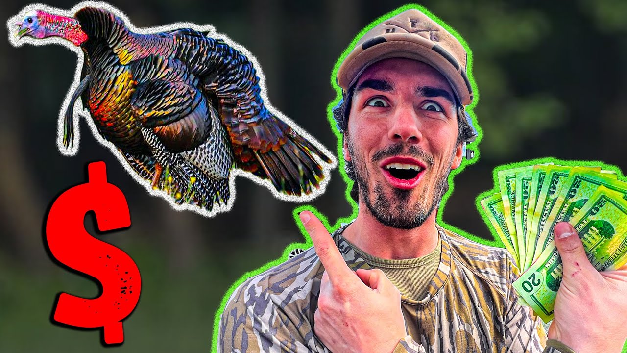 Budget Turkey Hunting!!! (Michigan Gobblers) YouTube