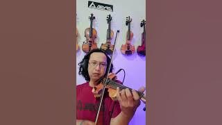 Arti Cinta- Ari lasso Cover Violin , biola elektrik cover