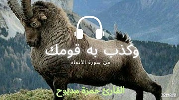 The Koran is a beautiful voice تلاوة رائعة تهتز لها القلوب القارئ حمزة مدبوح