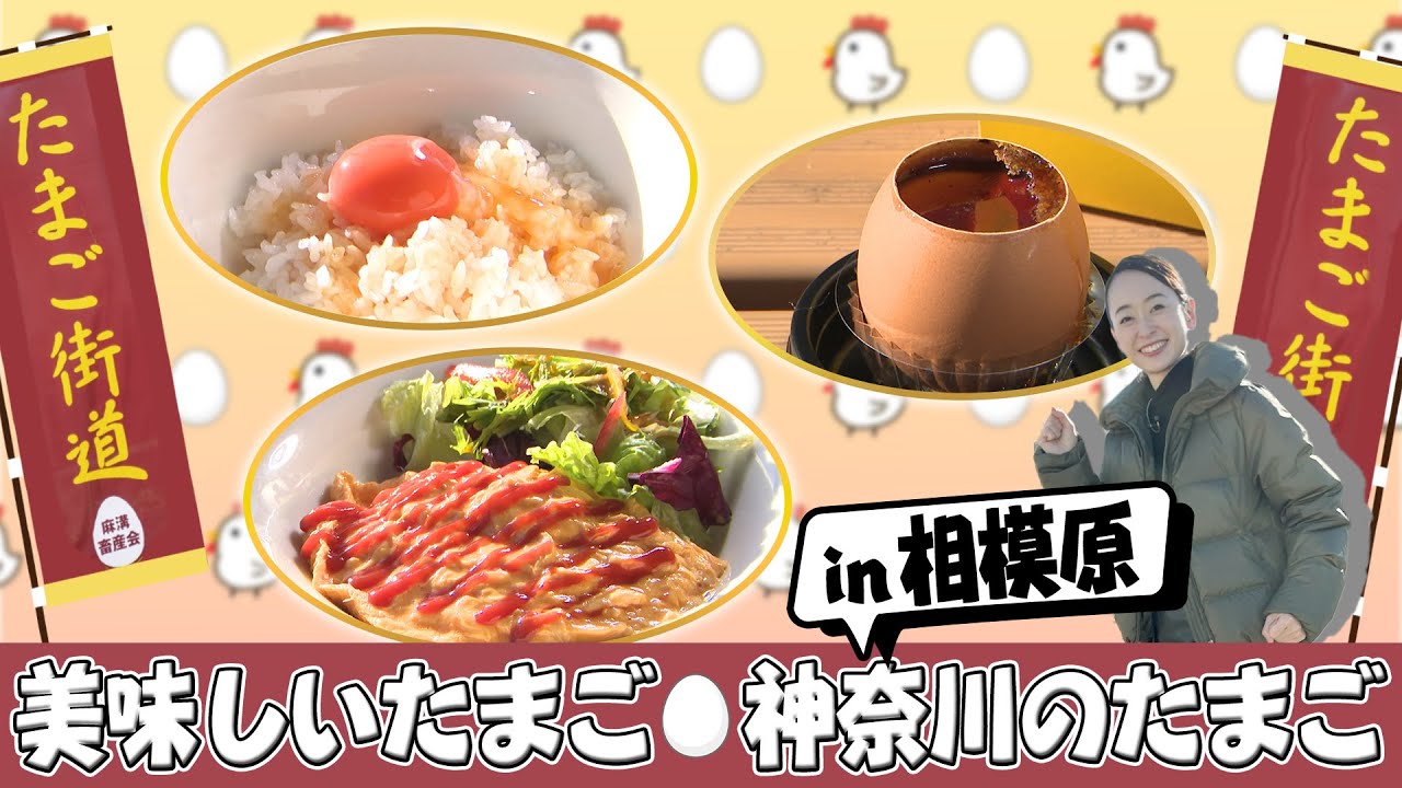 【中古】 たまごの立つ話 楽天市場】【中古】 たまごの立つ話 / 中谷 宇吉郎 / 国土社 [単行本