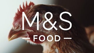 Oakham Gold Chicken | Farm to Foodhall | M&amp;S Food