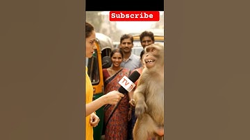 monkey interview with girls #monkey #monkeyvideo #monkeyvlogs #viral #shorts #shortvideo #girl