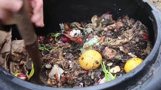5 #Vermicomposting Mistakes to AVOID!!