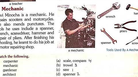 Class 4 EVS Ls 11 People At Work