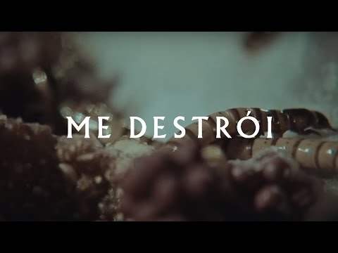 03 - Thiago Pethit - Me Destrói (Official Audio)