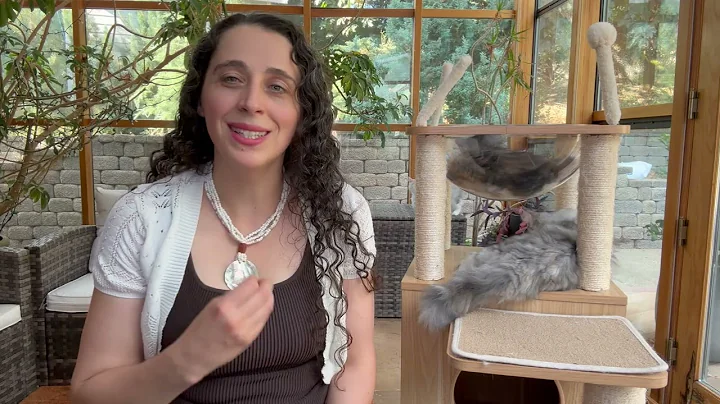 Watch the video about Getting ready and welcoming a new Siberian kitty