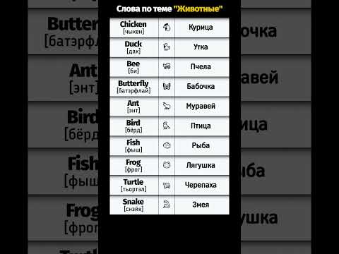 🎥 Блок 7: 🐔 Животные — домашние и птицы | Английские слова по темам. #shorts