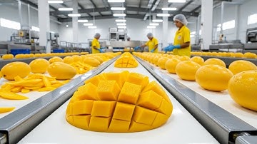 Inside a Modern Mango Processing Plant From Farm to Delicious Mango Slice