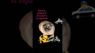 ahuevo persecusion