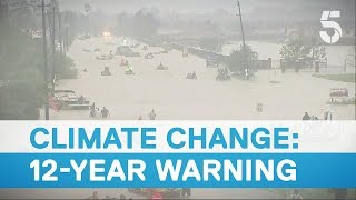 Climate change: Could changing your lifestyle really make a difference? – 5 News