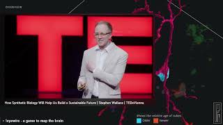 TEDxVienna - How Synthetic Biology Will Help Us Build a Sustainable Future | Stephen Wallace Update