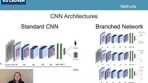 Deep Learning for Human Embryo Classification at the Cleavage Stage (Day 3)
