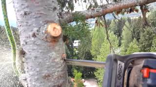 How to rig a top old school