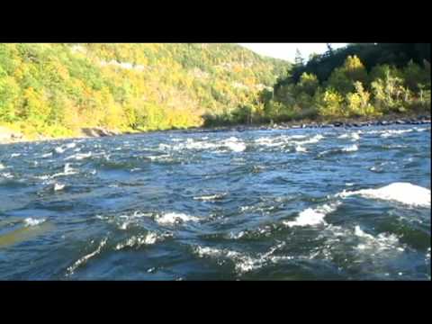 Watch Sharon & Ken take a Canoe Trip on the Delawa...