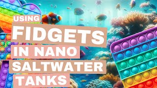 How I use Fidget Toys in my Nano Reef Tank by Some Things Fishy 262 views 2 months ago 9 minutes, 22 seconds