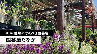 【PLANT TOUR】多肉植物と塊根植物の人気店！　園芸屋たなか