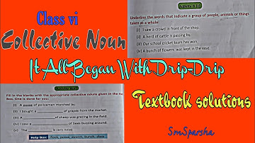 ।। Class vi - It All Began with Drip-Drip - activity 8 (c) and (d) । SmSparsha । #noun ।।
