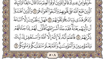 سورة محمد مكتوبة / محمد أيوب