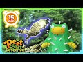 Goshawk Safari Tales 🌟🌊 | Nature Stories For Kids | Peet The Forest Detective