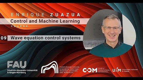 S08/12. Neural transport equations and infinite-dimensional control systems