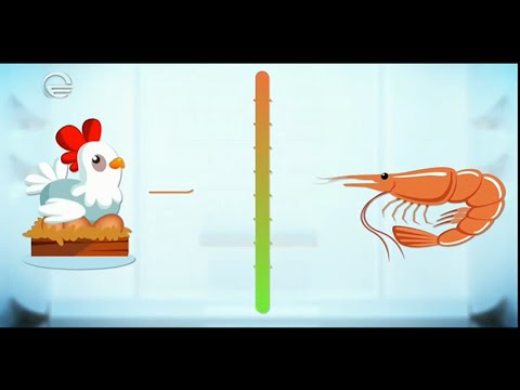 საიმედო რეკომენდაცია - 22 ნოემბერი, 2020 წელი