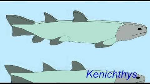 PL1: FOSSIL SARCOPTERYGIANS