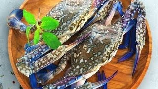 How to Catch Crabs with Children with Clothespin as Bait Holder