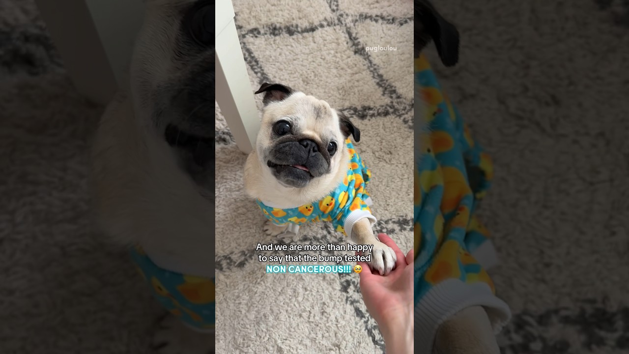 BEST NEWS EVER! 🥳❤️‍🩹 