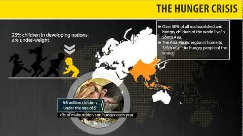Can We End World Hunger? Facts Video by MapsofWorld