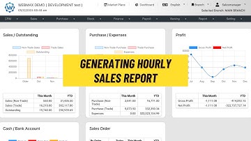 (华语) Sales Report - Hourly Sales Report (Webmax ERP System) (V3)