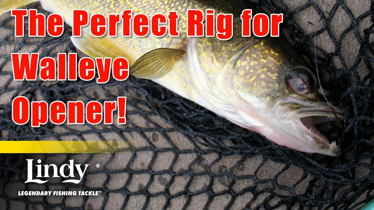 The Perfect Bait Rig for Walleye Opener - Lindy Fishing Tackle 