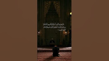 ❤️‍🩹#ماهر_المعيقلي #سورة_الزمر #تلاوة_خاشعة #اكسبلور