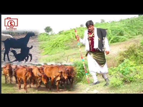 Maldhari ni moj  maldhari song 