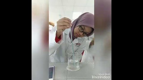 Practical 5: Diffusion and Osmosis